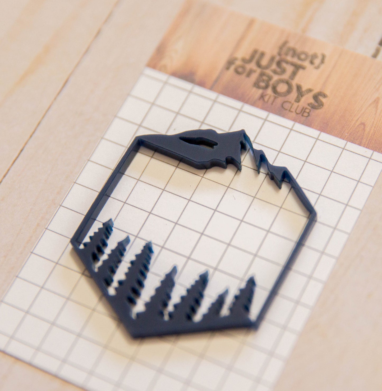 "Camping Logo" Acrylic Embellishment