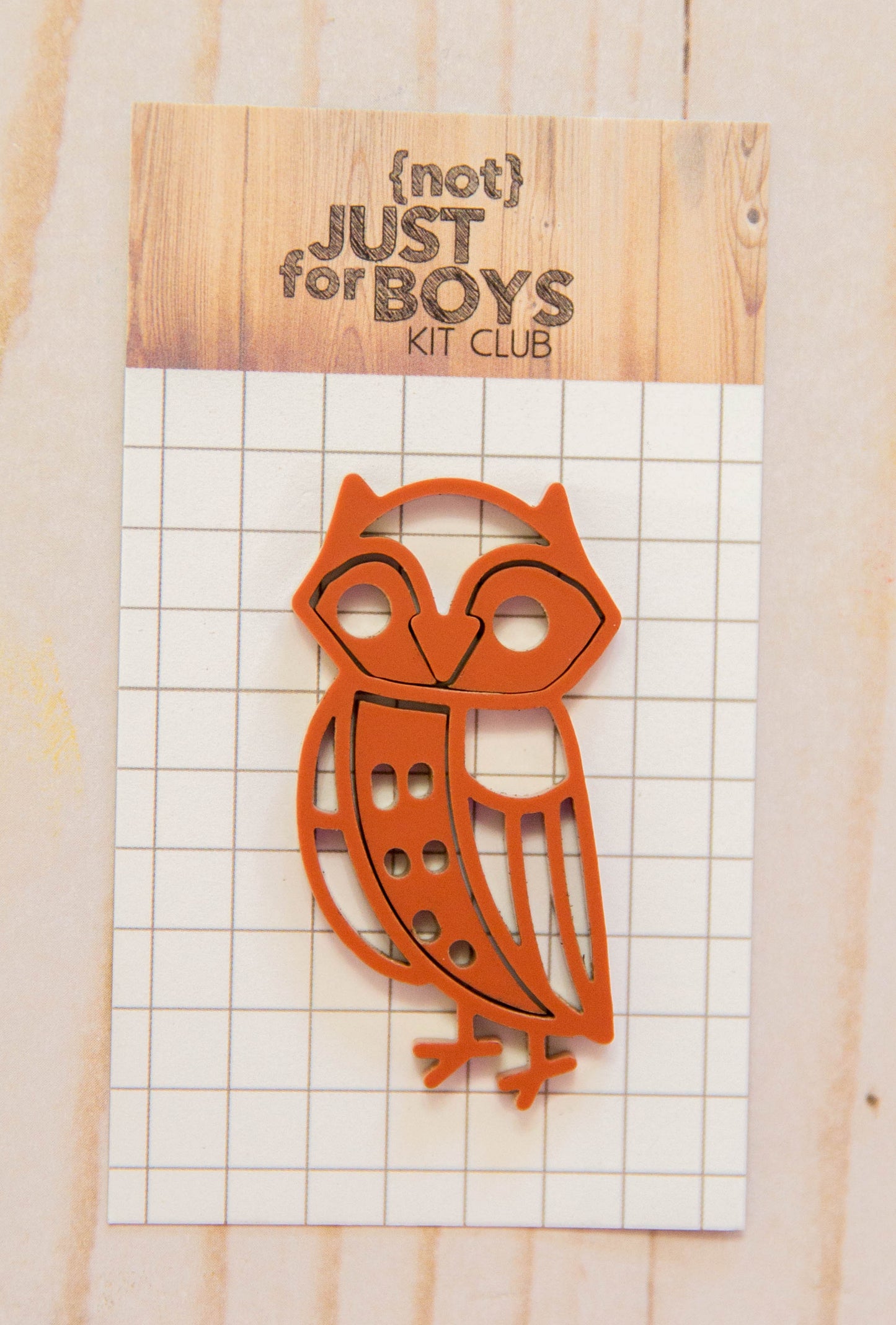 Owl Acrylic Embellishment