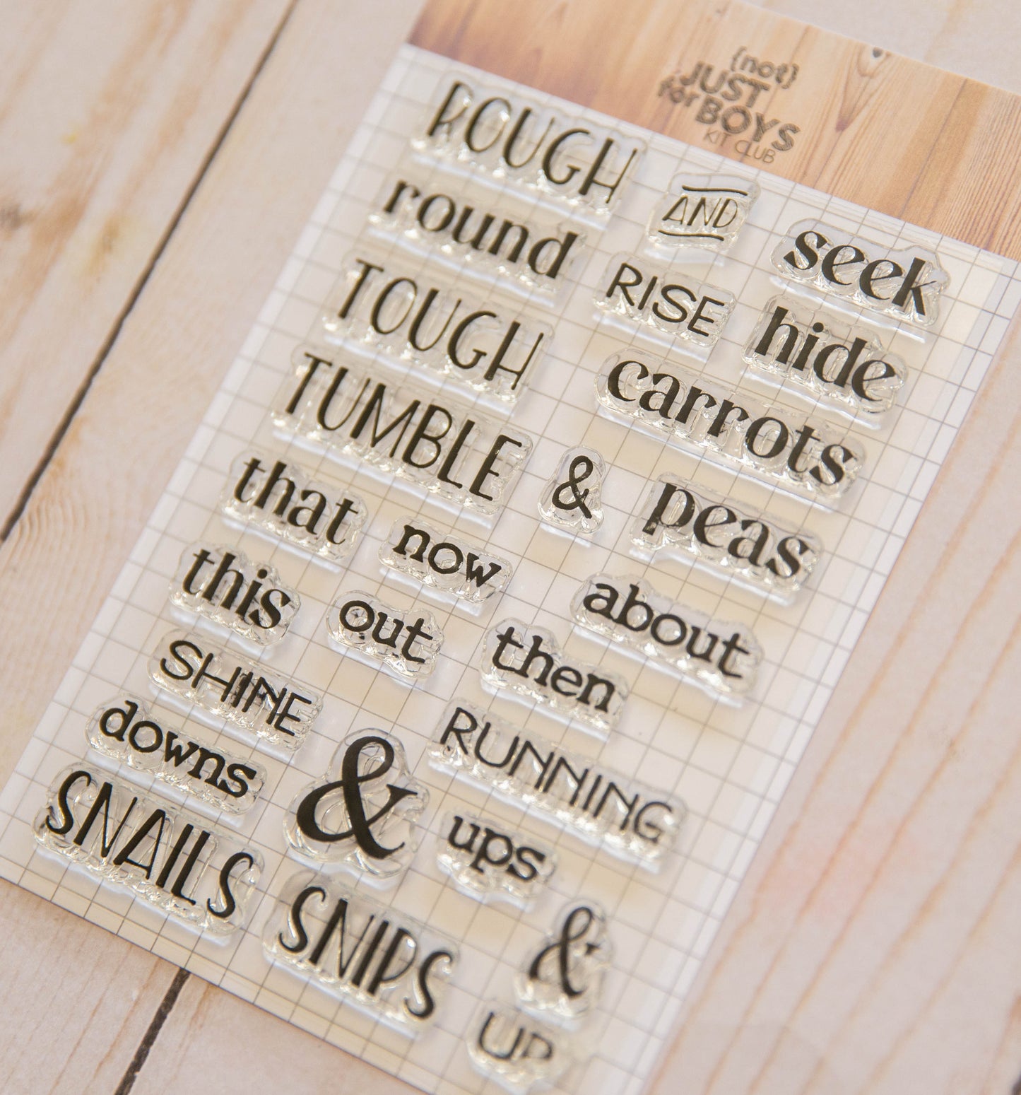 "{Not} Just for Boys" 4 x 6 Stamp Volume 2