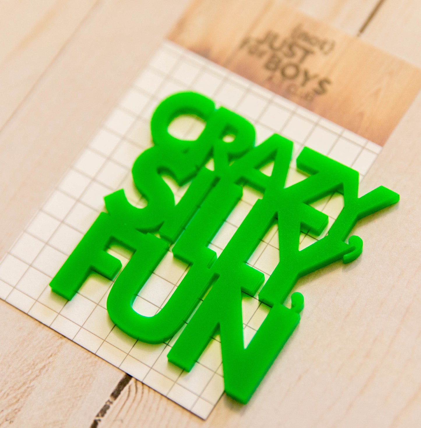 "Crazy, Silly, Fun" Acrylic Embellishment