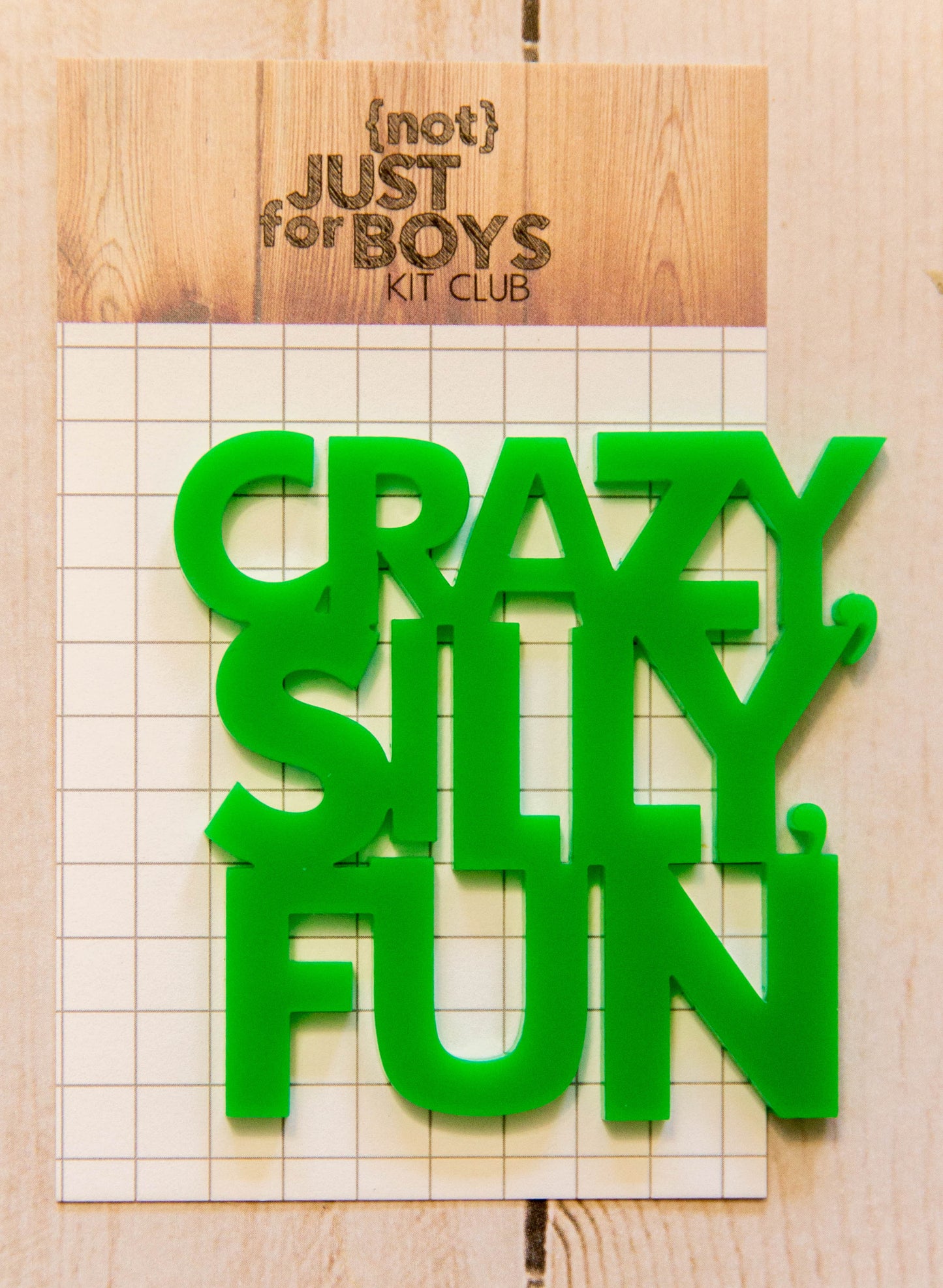 "Crazy, Silly, Fun" Acrylic Embellishment