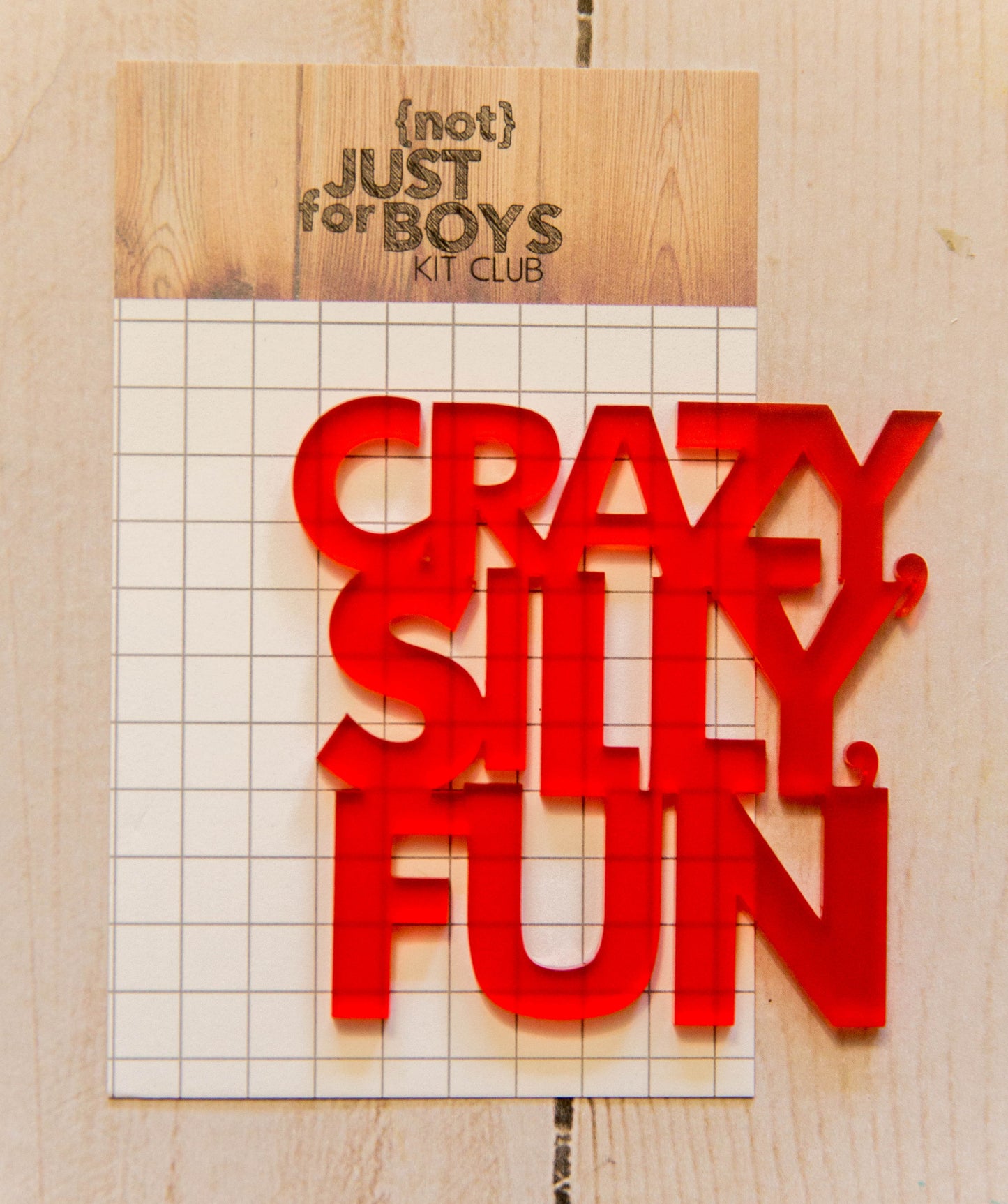 "Crazy, Silly, Fun" Acrylic Embellishment