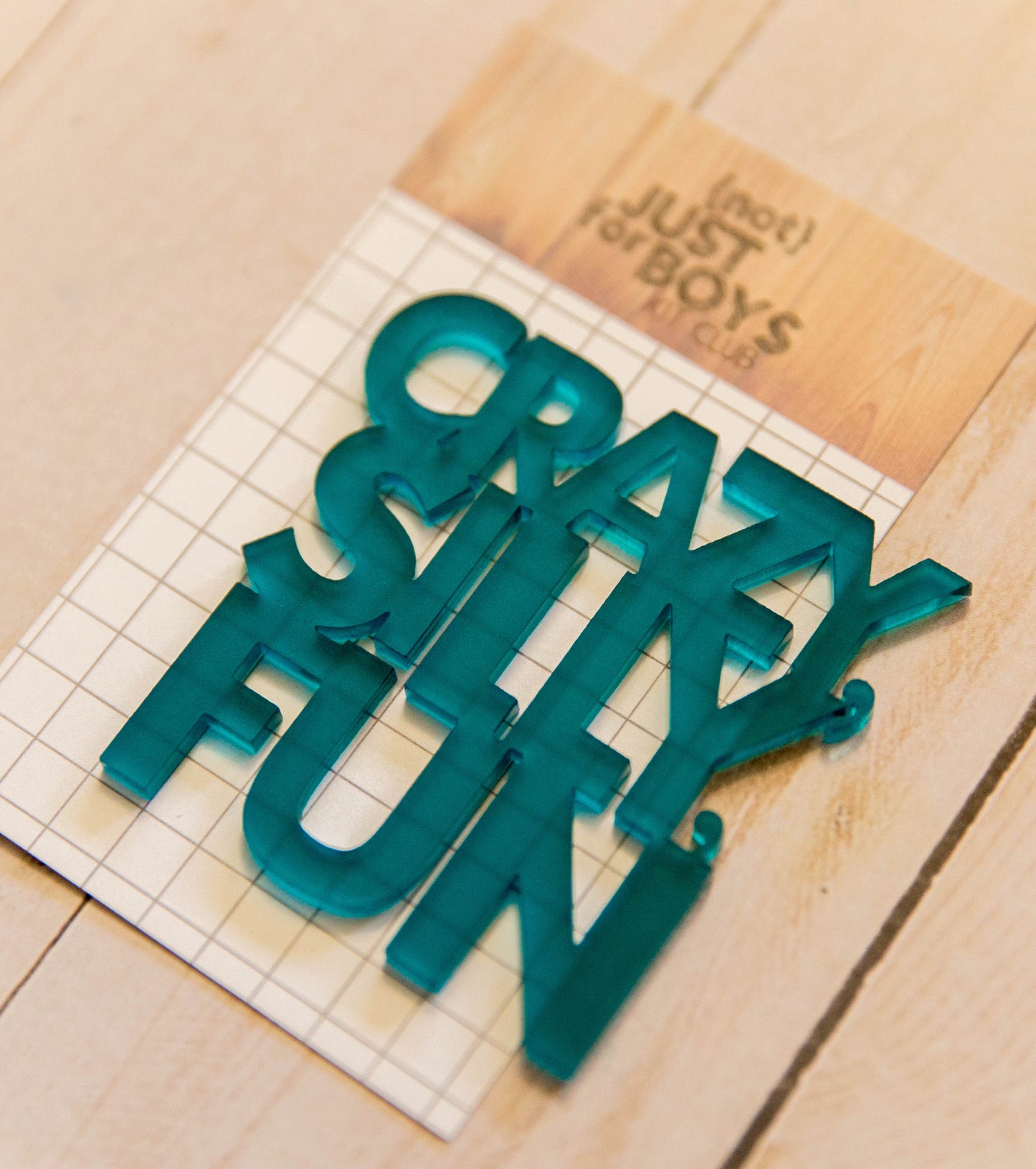 "Crazy, Silly, Fun" Acrylic Embellishment
