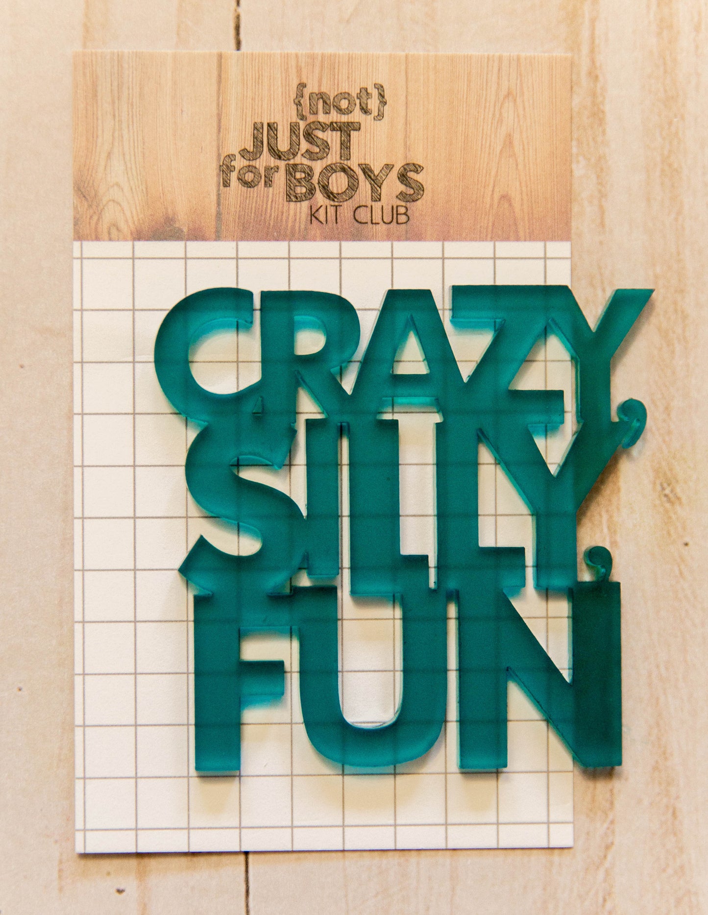 "Crazy, Silly, Fun" Acrylic Embellishment