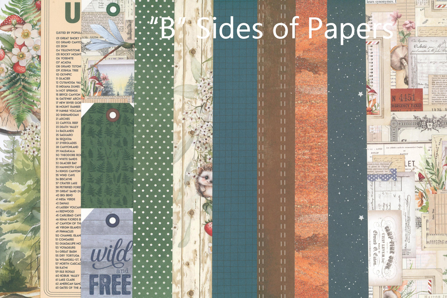 "Wild & Free" Paper Add On