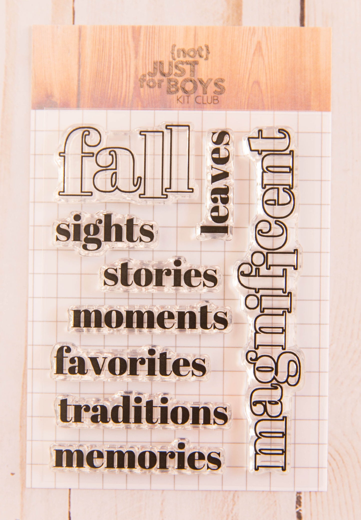 "Enchanted" NJFB 3x4 Stamp Set