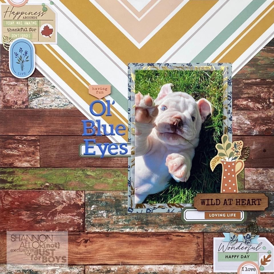 "Cozy" Premium Kit-November 2020