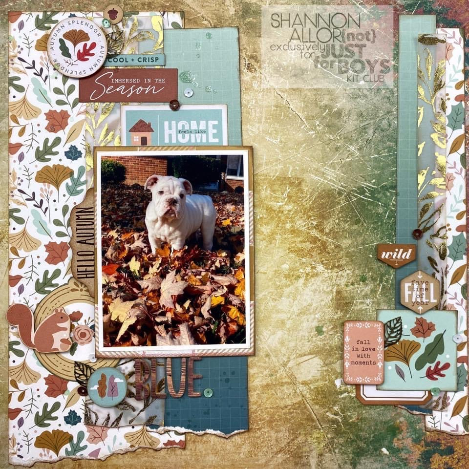 "Cozy" Premium Kit-November 2020