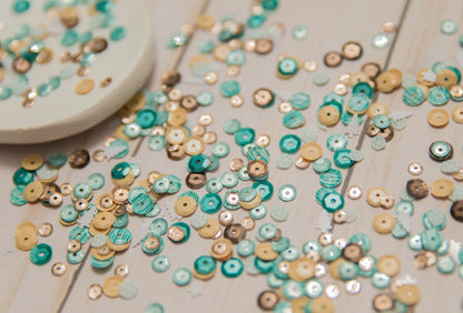 “Snow Much Fun" Sequin Mix