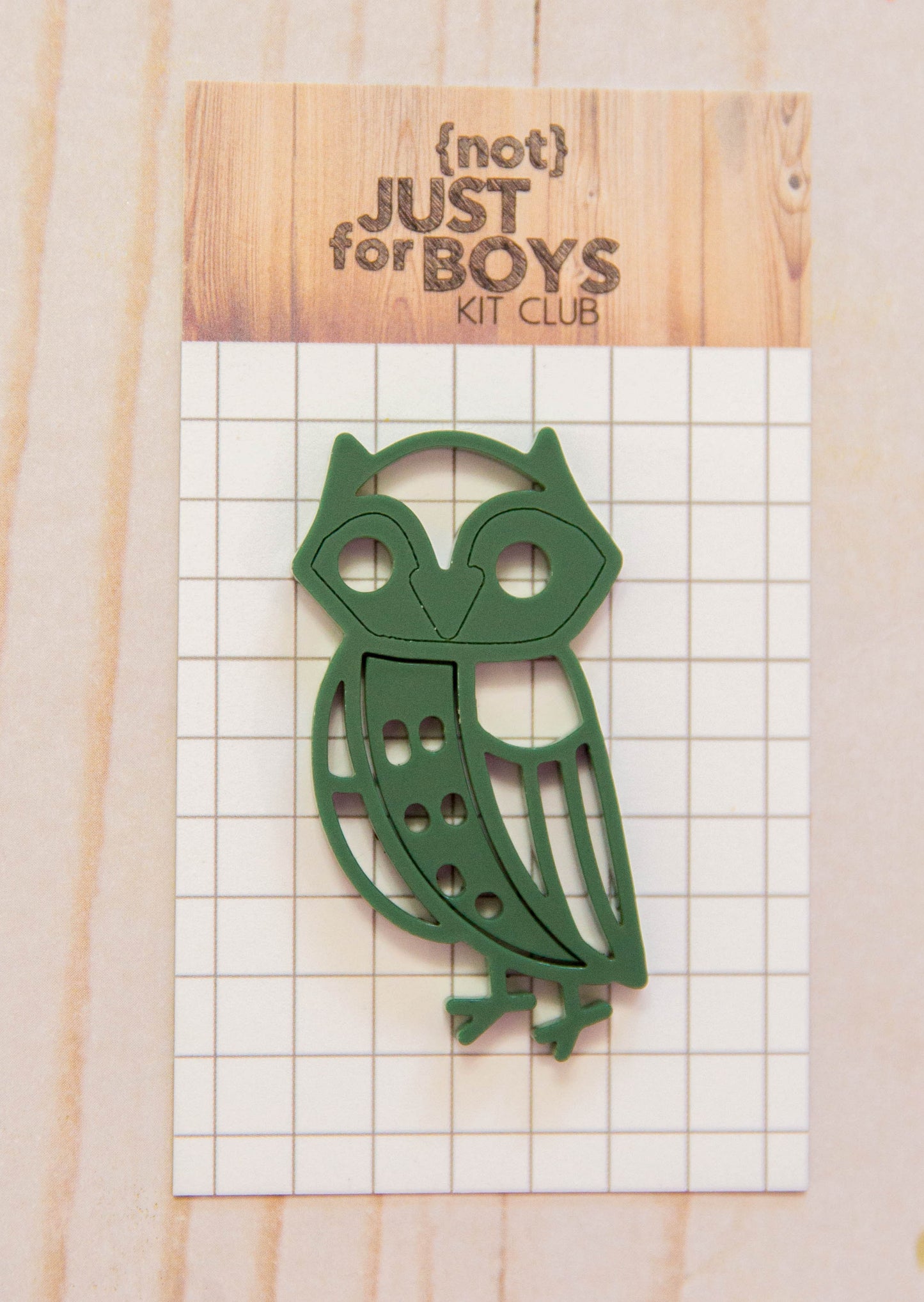Owl Acrylic Embellishment