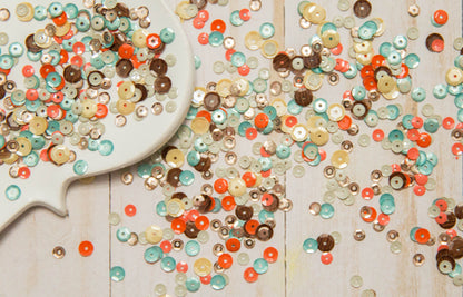 “Stories & Souvenirs" Sequin Mix