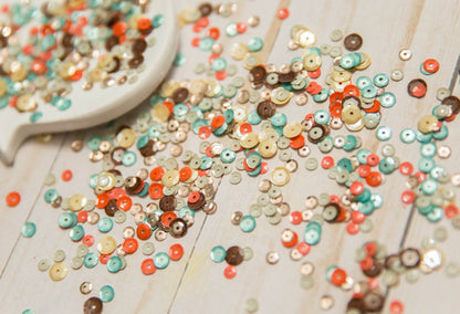“Stories & Souvenirs" Sequin Mix