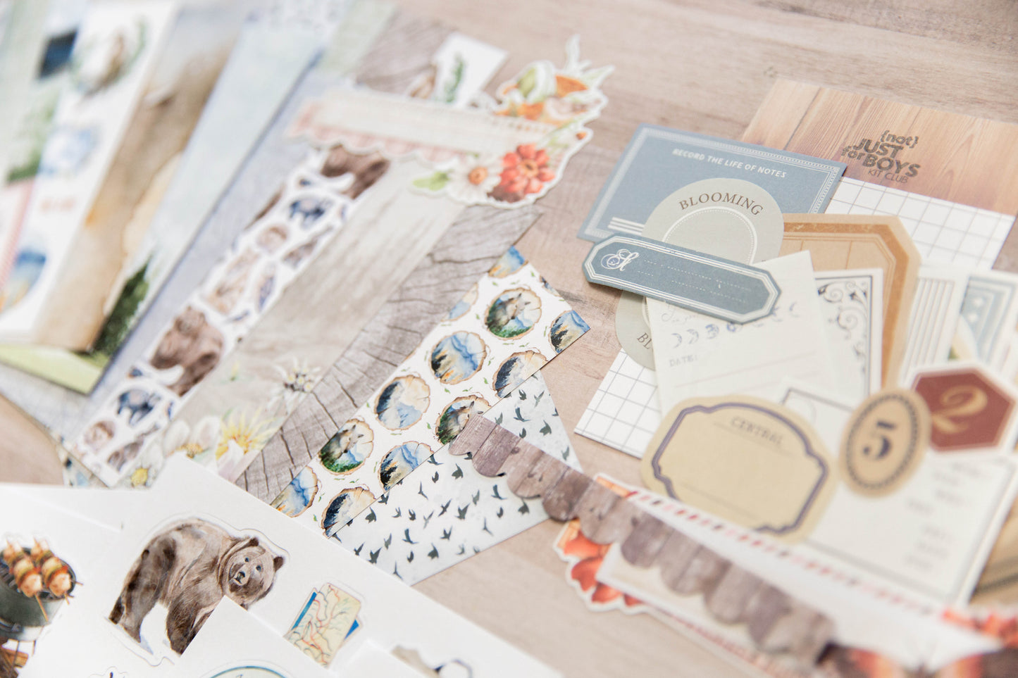 "Peaks & Pines” Creative Components Kit
