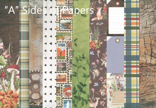 "Wild & Free" Paper Add On